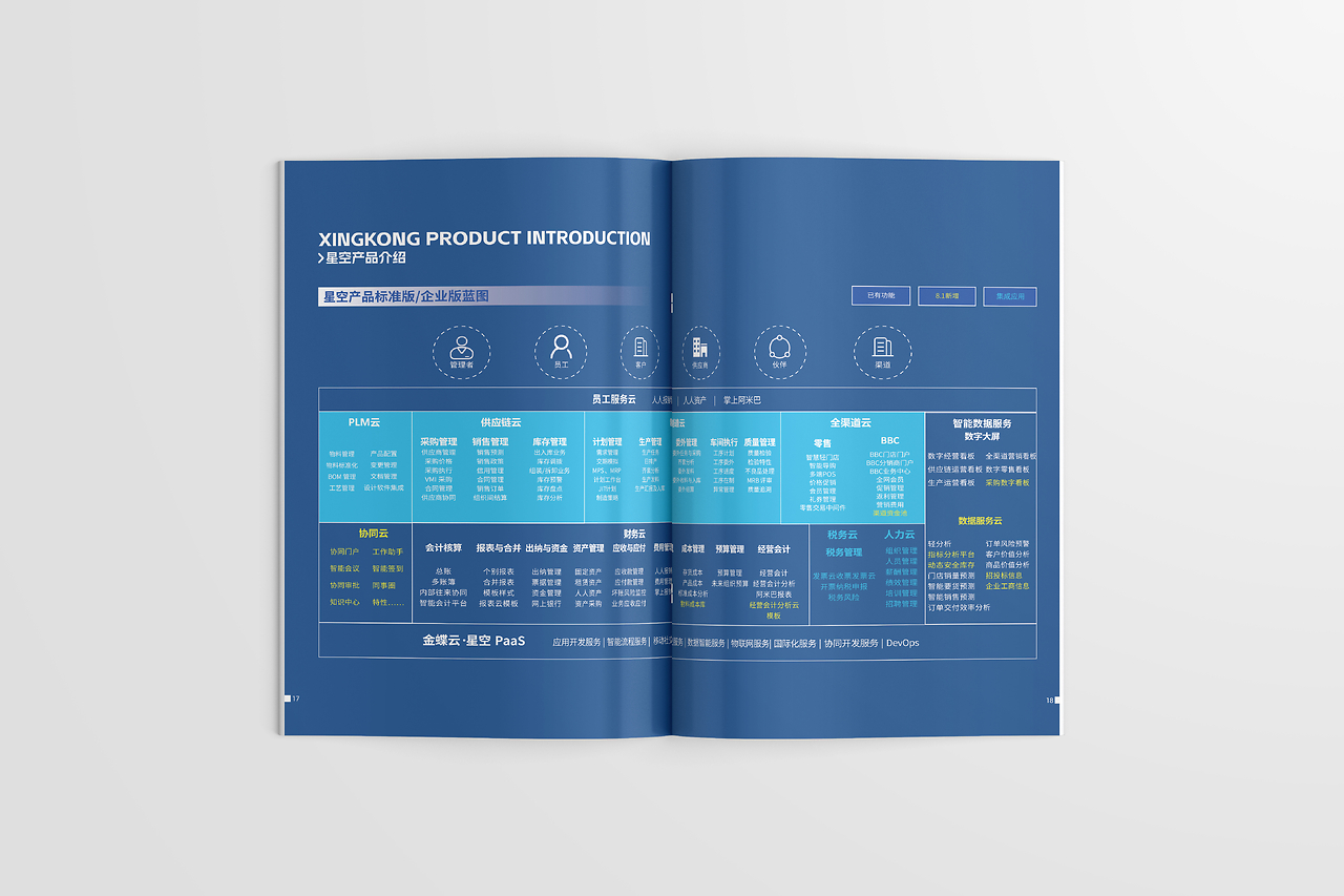 企業管理咨詢畫冊 打造卓越企業形象的戰略藍圖